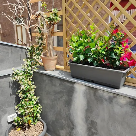Ciaurimari Sicilian Con Terrazza Dom wakacyjny