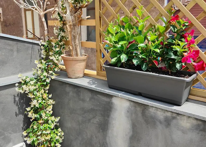 Ciaurimari Sicilian Con Terrazza 펜션